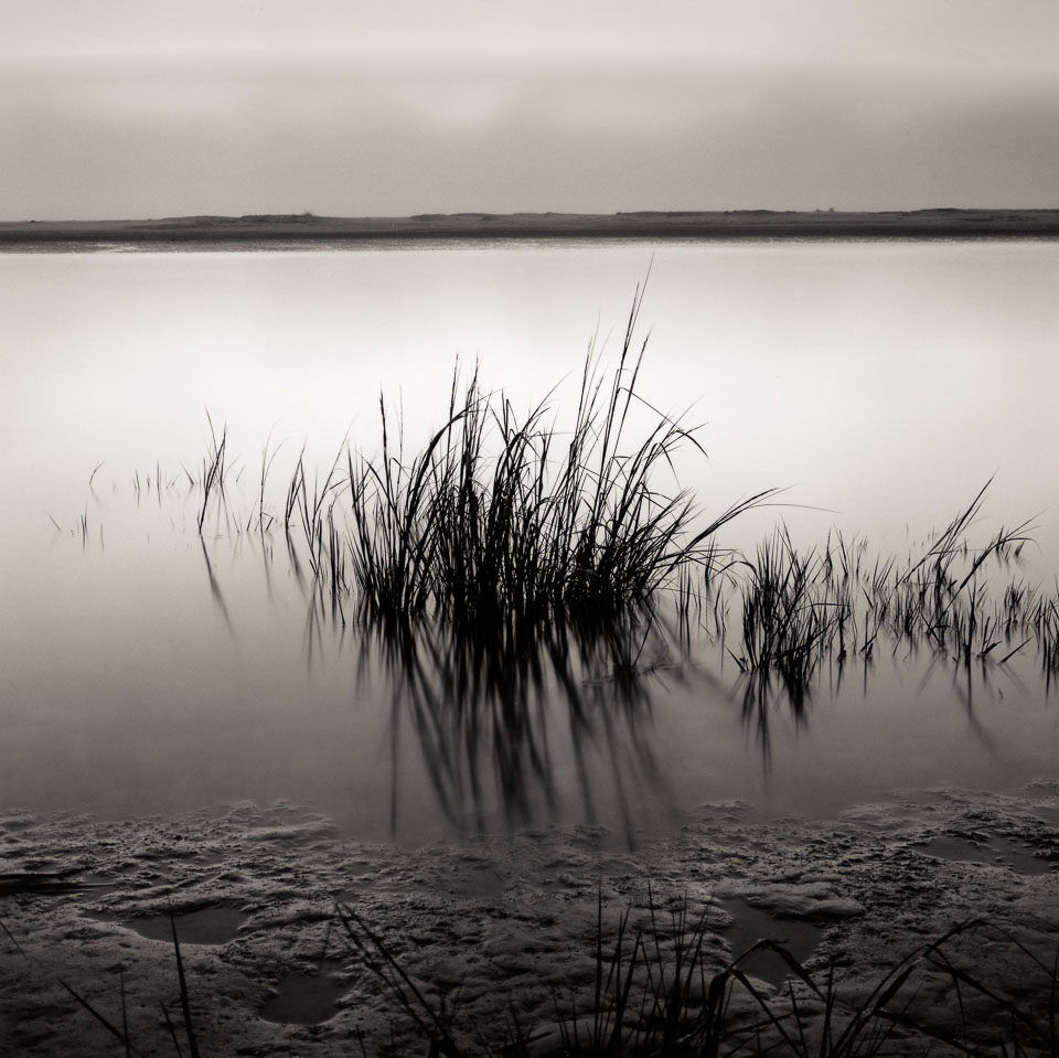 grass-reflection-muddy-shore-13x13-reflective-scan.jpg