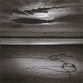 tangled-root-on-beach-13x13-reflective-scan.jpg