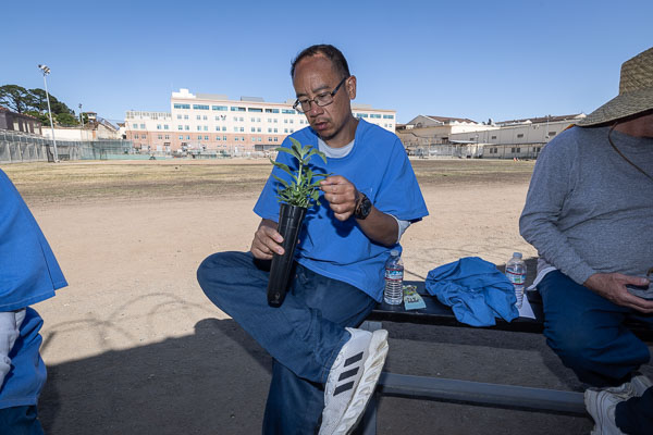 Land Together gardening at San Quentin - 2025 May