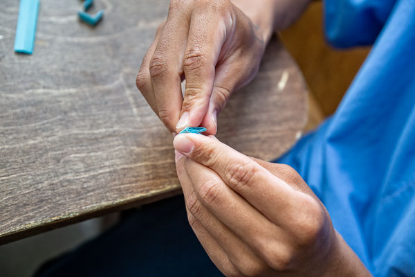 PAC: collaborative, interdisciplinary art at Ironwood SP- 2022 Aug